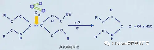 圖片51.png
