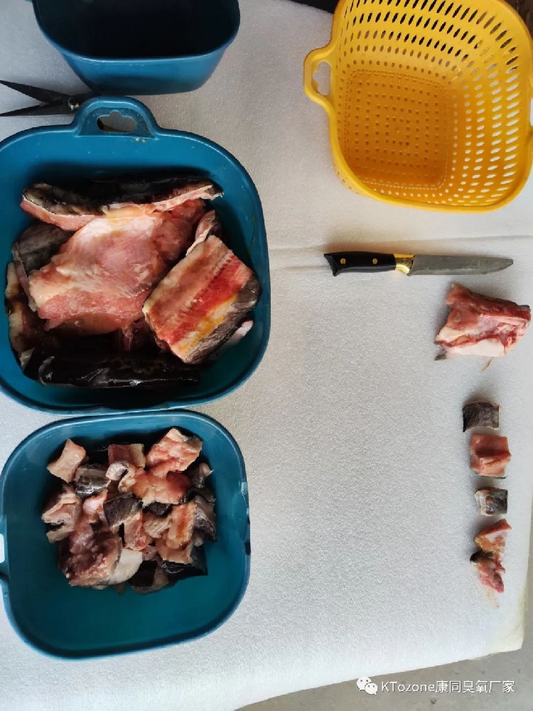 臭氧可以用于魚肉去腥去血水嗎？