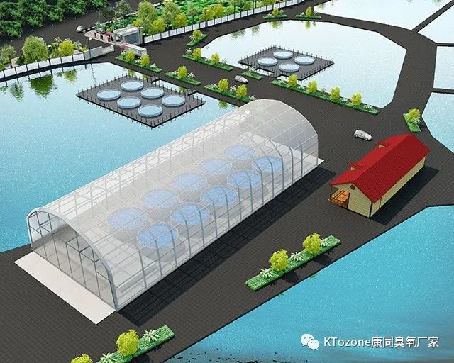 臭氧在水產養殖中的應用